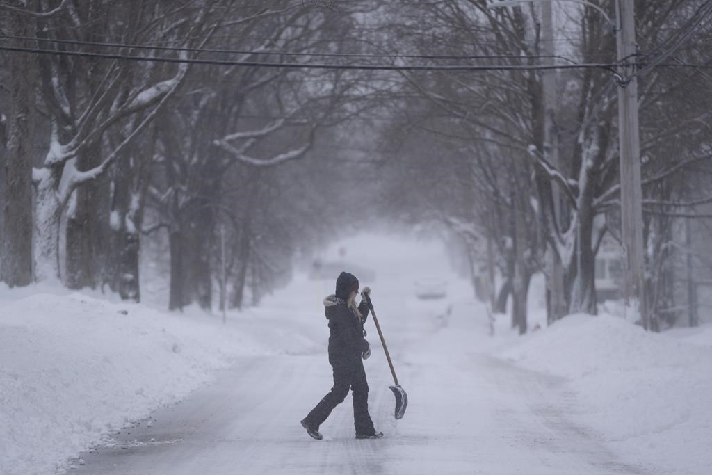 Une tempête de neige provoque l'arrêt des services de transport en Nouvelle-Écosse
