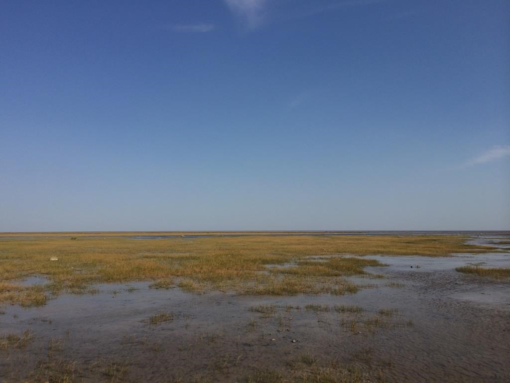 Vers une aire de conservation marine en territoire cri dans le nord de l'Ontario