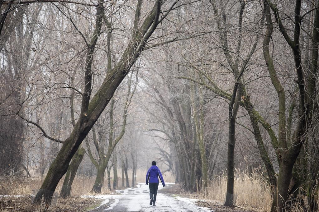 La nature semble meilleure pour le cerveau que la ville