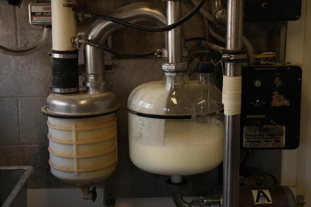 Santé Canada donne le feu vert à une protéine de lait cultivée en laboratoire
