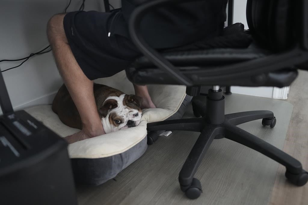 Les Québécoises ont été moins stressées que les Françaises par le télétravail