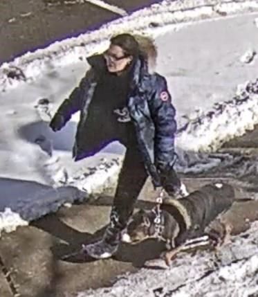 Une femme accusée après une attaque de chien contre un enfant à Toronto
