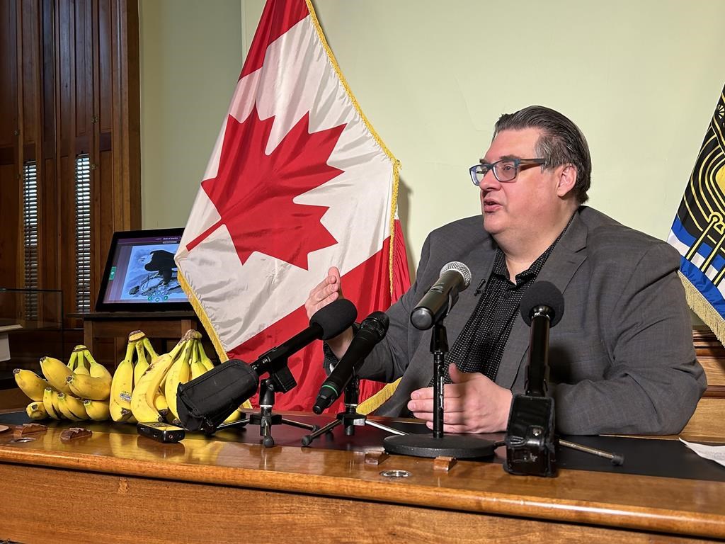 Le N.-B. doit repenser ses soins de longue durée pour une population plus diversifiée
