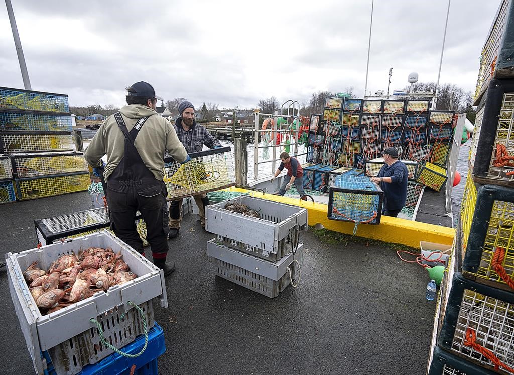 La saison de pêche au homard a débuté samedi en Gaspésie