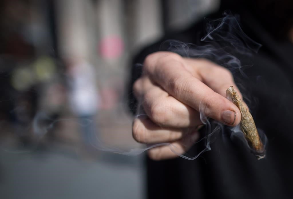 Baisse de la proportion de Québécois qui consomment du cannabis, selon l'ISQ