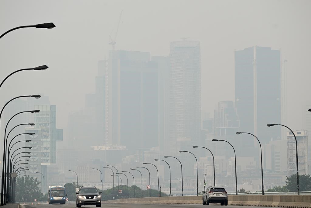 Les effets positifs et négatifs de la densité des villes sur la santé