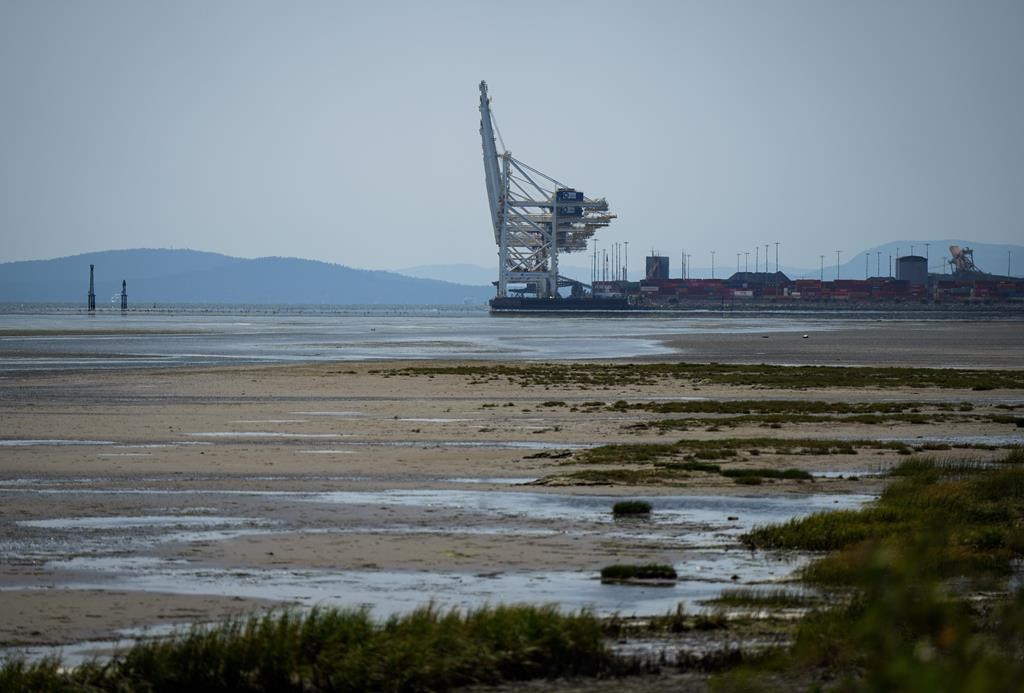C-B: Une entreprise portuaire s'insurge contre la publication de ses émissions de GES
