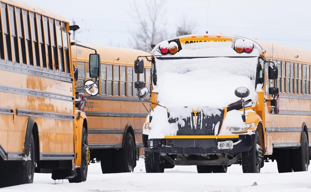 Des grèves de chauffeurs d'autobus d'écoliers touchent certains transporteurs