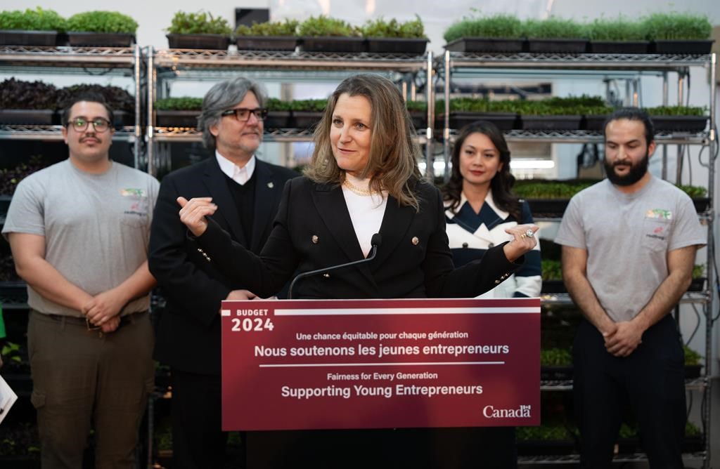 Le budget ne vise pas les propriétaires de plex de la classe moyenne, assure Freeland