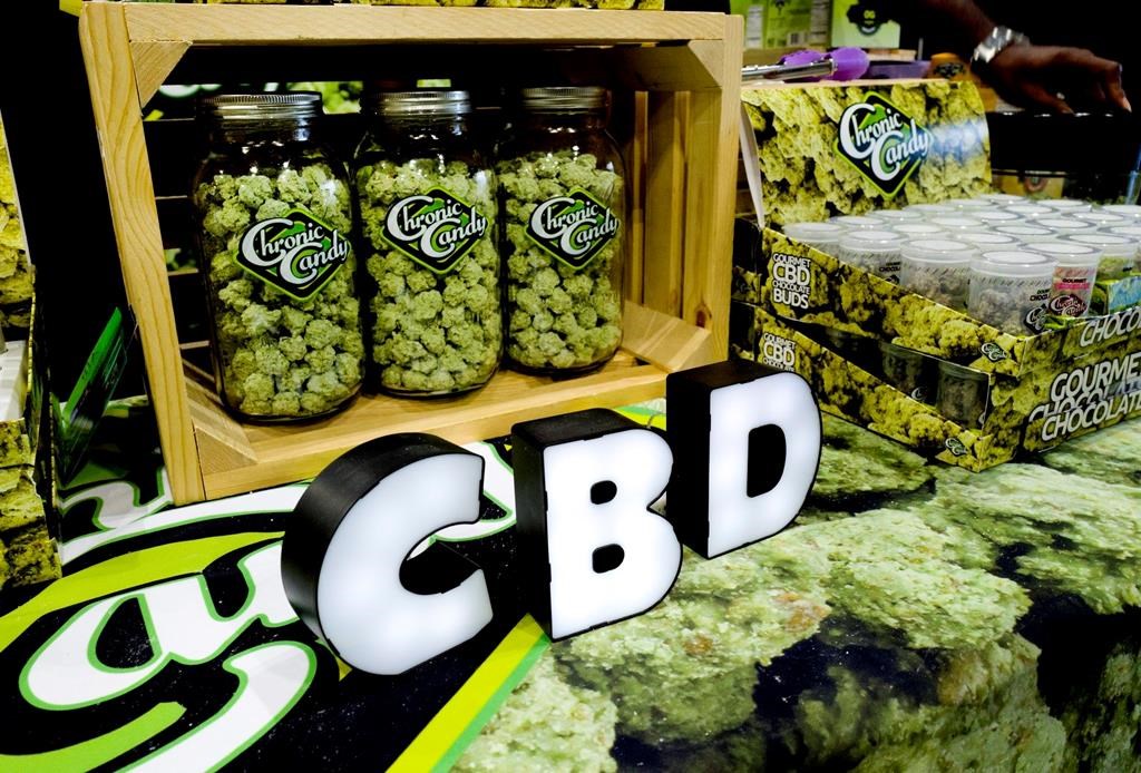 Le CBD est inutile contre la douleur et pourrait même être dangereux, dit une étude