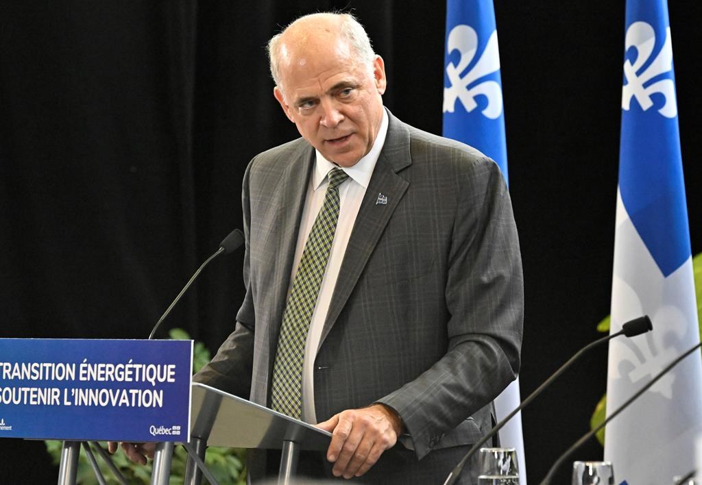 Fitzgibbon ne ferme pas la porte à offrir des minéraux pour attirer des entreprises