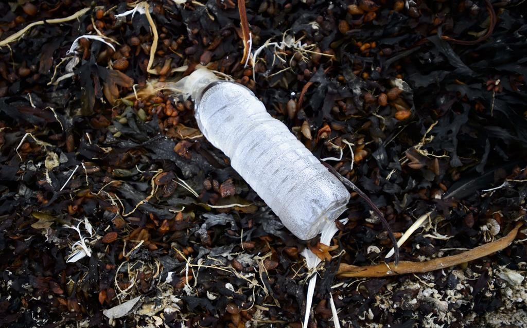 Des milliards de bouteilles en plastique se retrouvent dans l'environnement canadien
