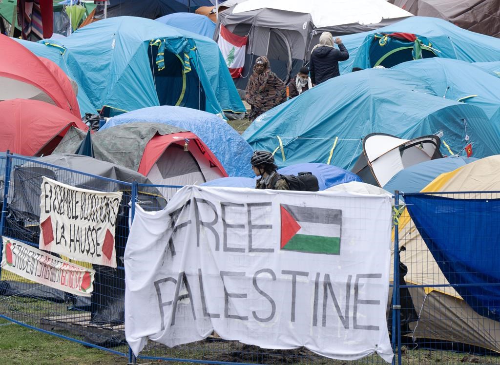 Des universitaires israéliens se défendent face aux campements