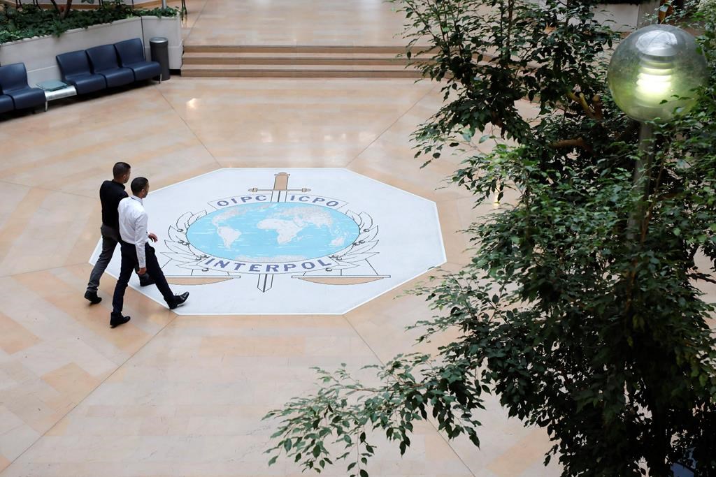 Plus de 1500 véhicules canadiens volés ont été localisés, selon Interpol