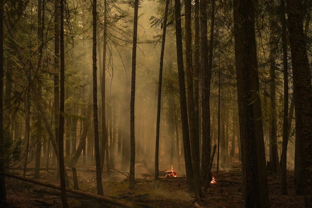 Feu de forêt: évacuations de «plusieurs quartiers» à Fort Nelson, en C.-B.