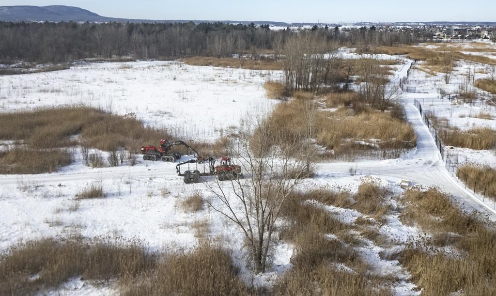 Objets incendiaires sur le site de Northvolt: des saboteurs anonymes s'expliquent