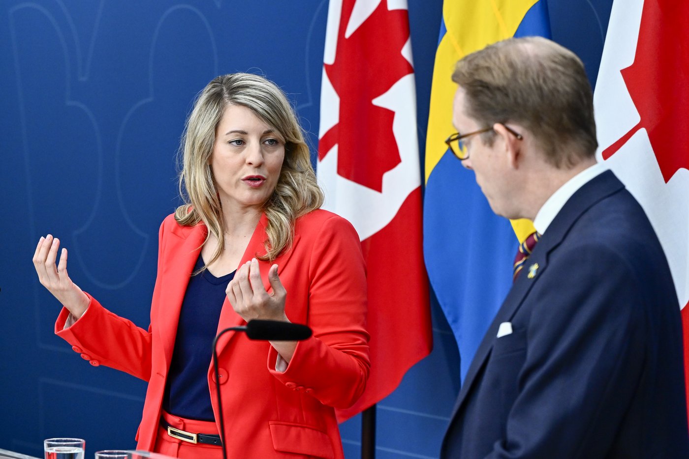 Le Canada se dit «avant-gardiste» sur l'usage d'armes de l'OTAN par Kyiv en Russie
