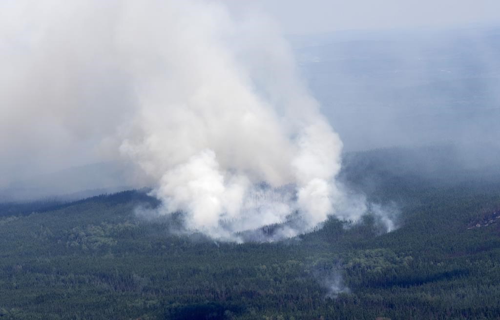 Les municipalités se préparent en vue de la saison des feux de forêt