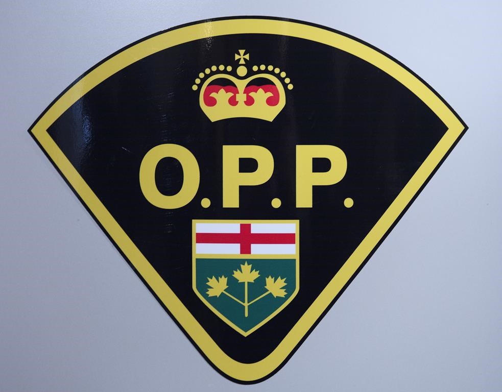 Ontario: des dizaines d'arrestations liées à des abus sexuels contre des enfants