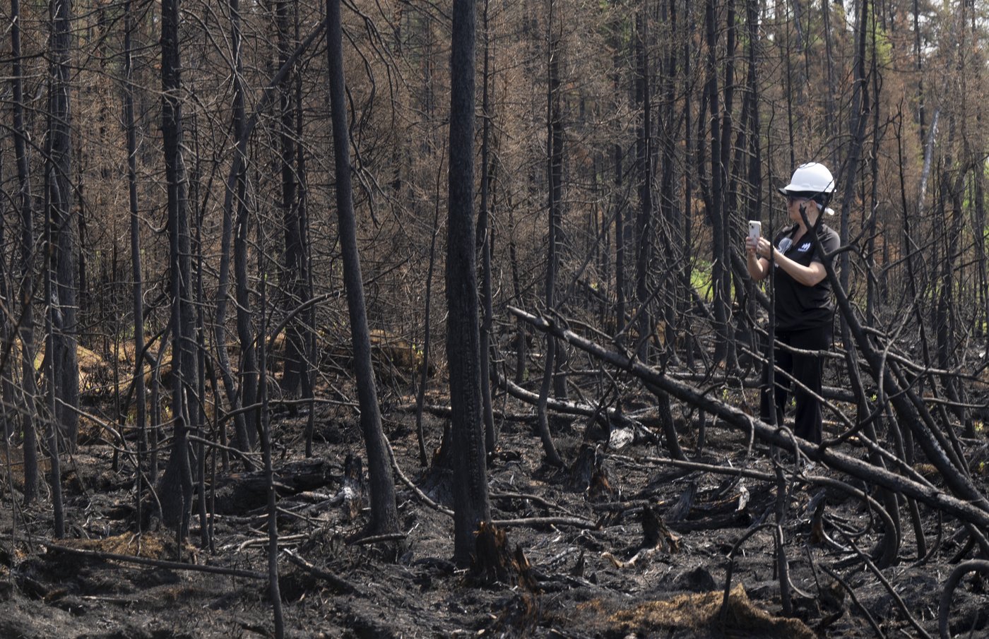Les feux à ciel ouvert en forêt seront interdits dans plusieurs régions dès mardi