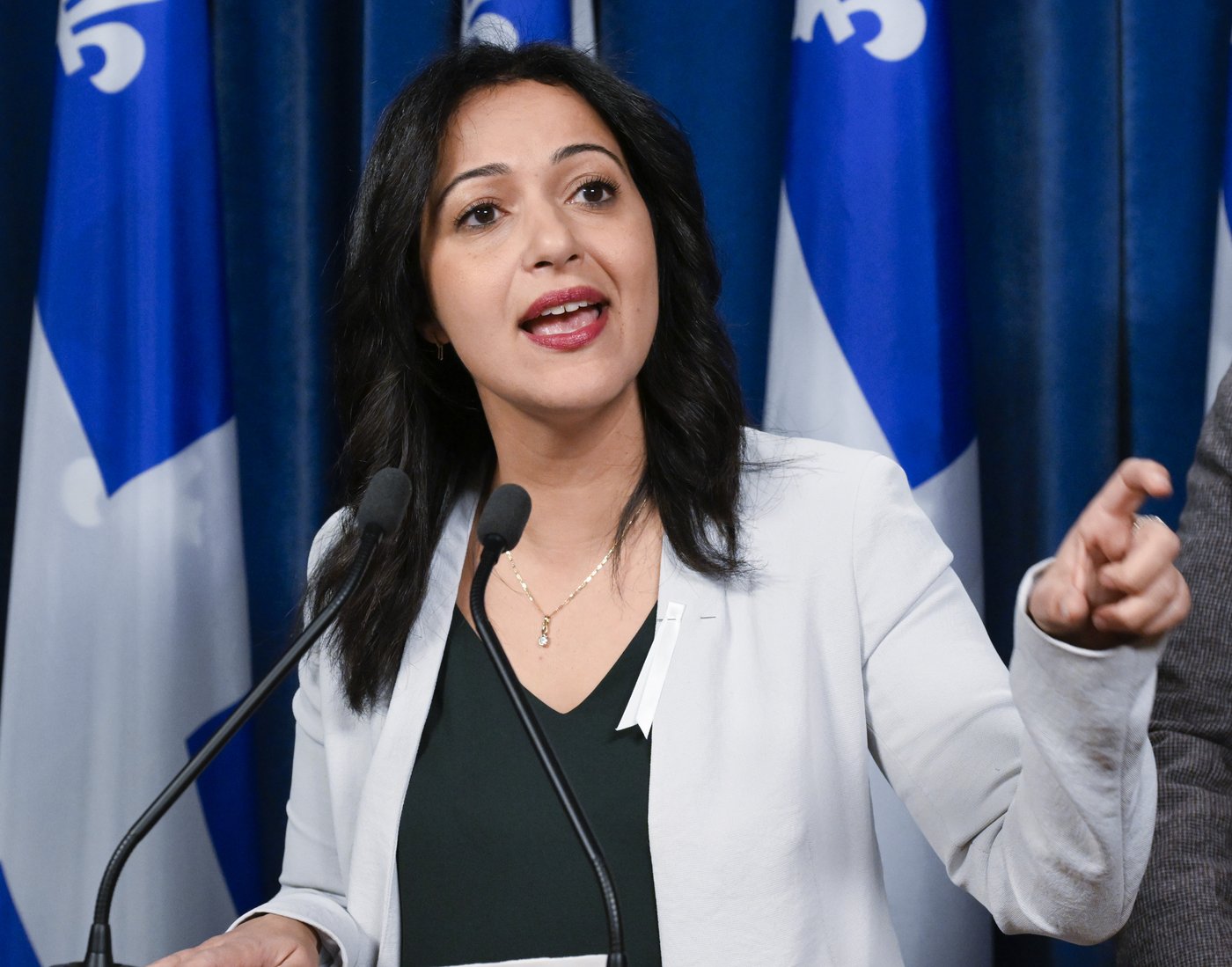 La députée solidaire Ruba Ghazal veut «barrer la route à l’extrême droite» en France
