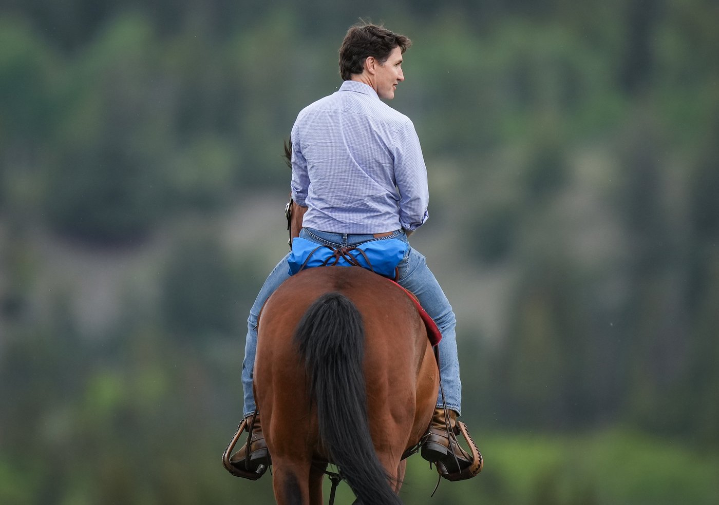 Le caucus libéral serait uni derrière Trudeau, selon un coprésident de campagne
