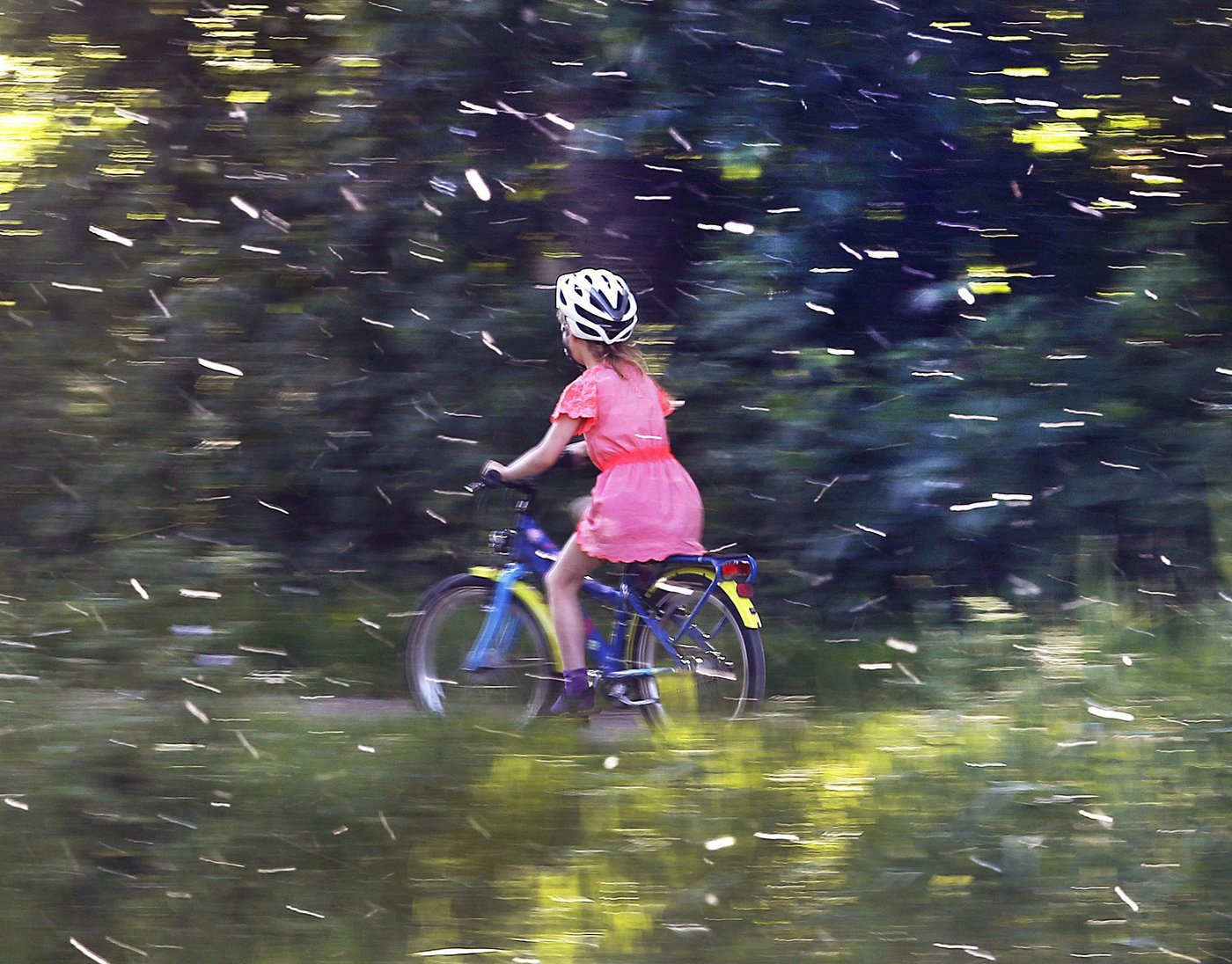 Le couvert des arbres protège les enfants de l'asthme relié au pollen, dit une étude