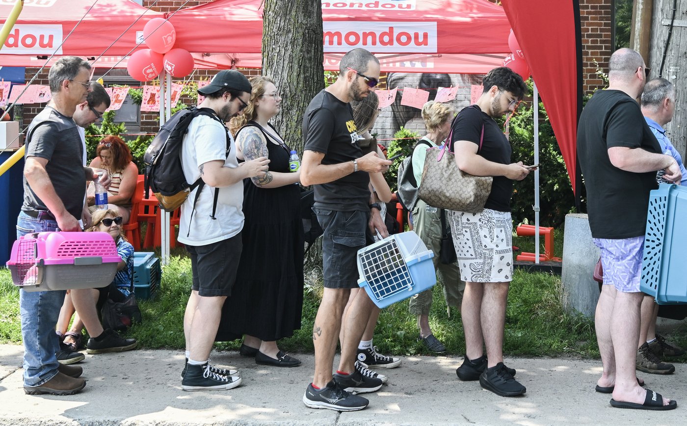 Après un 1er juillet difficile, la communauté répond à l'appel de la SPCA de Montréal