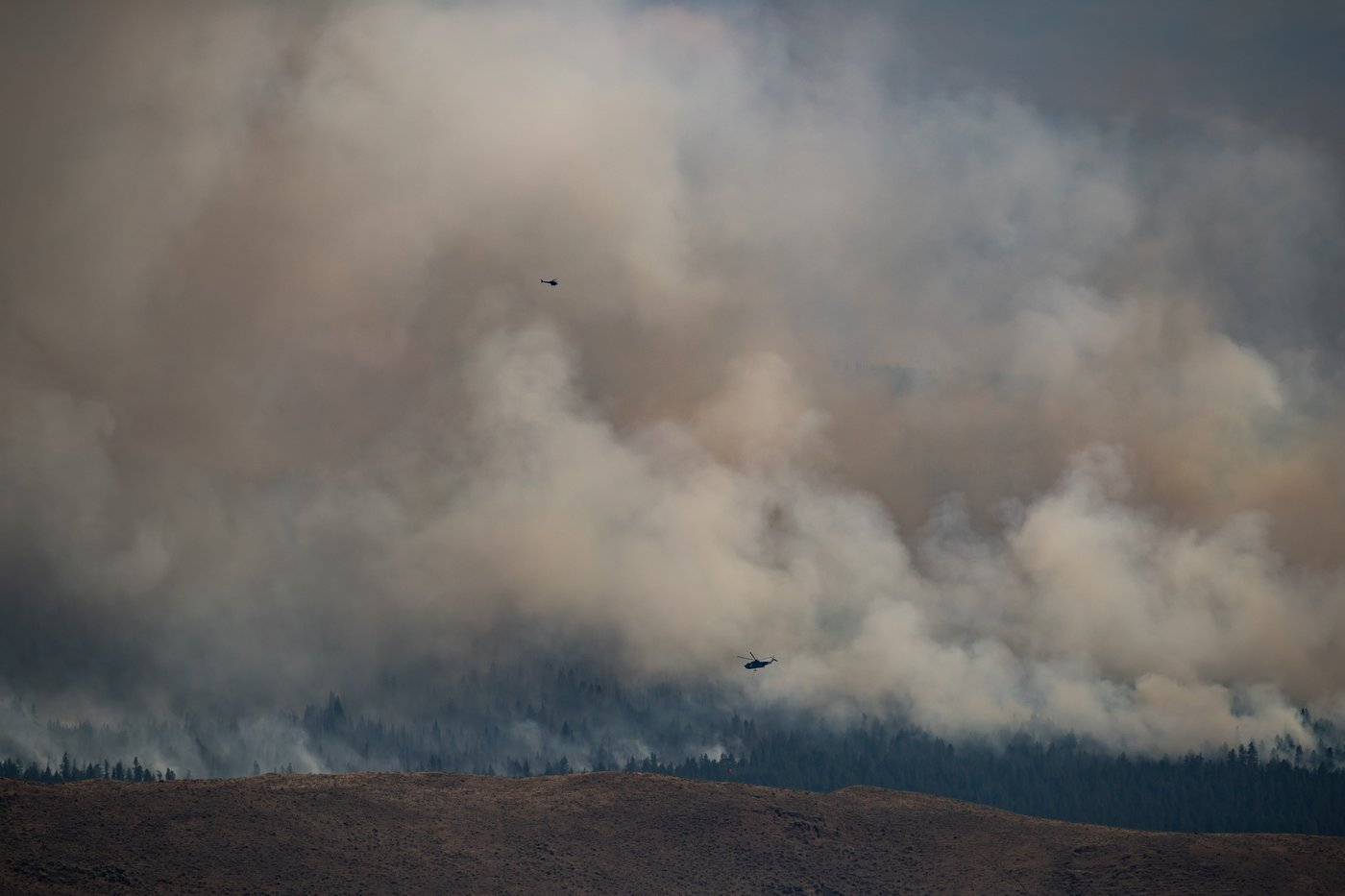La Colombie-Britannique demande de l'aide pour lutter contre ses incendies de forêt