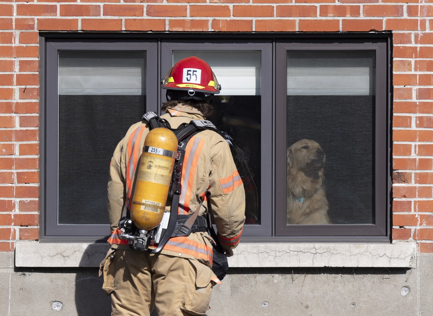 Incendie dans un immeuble à logements à Québec: quatre ménages sinistrés