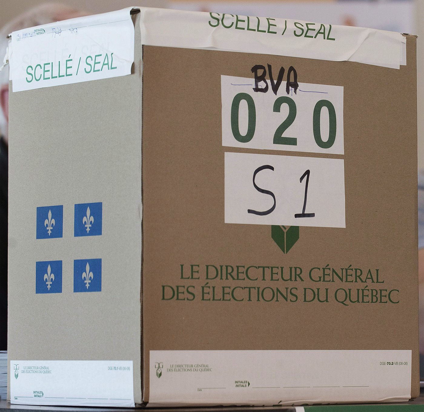 Les jeunes libéraux souhaitent des référendums au cours des élections générales