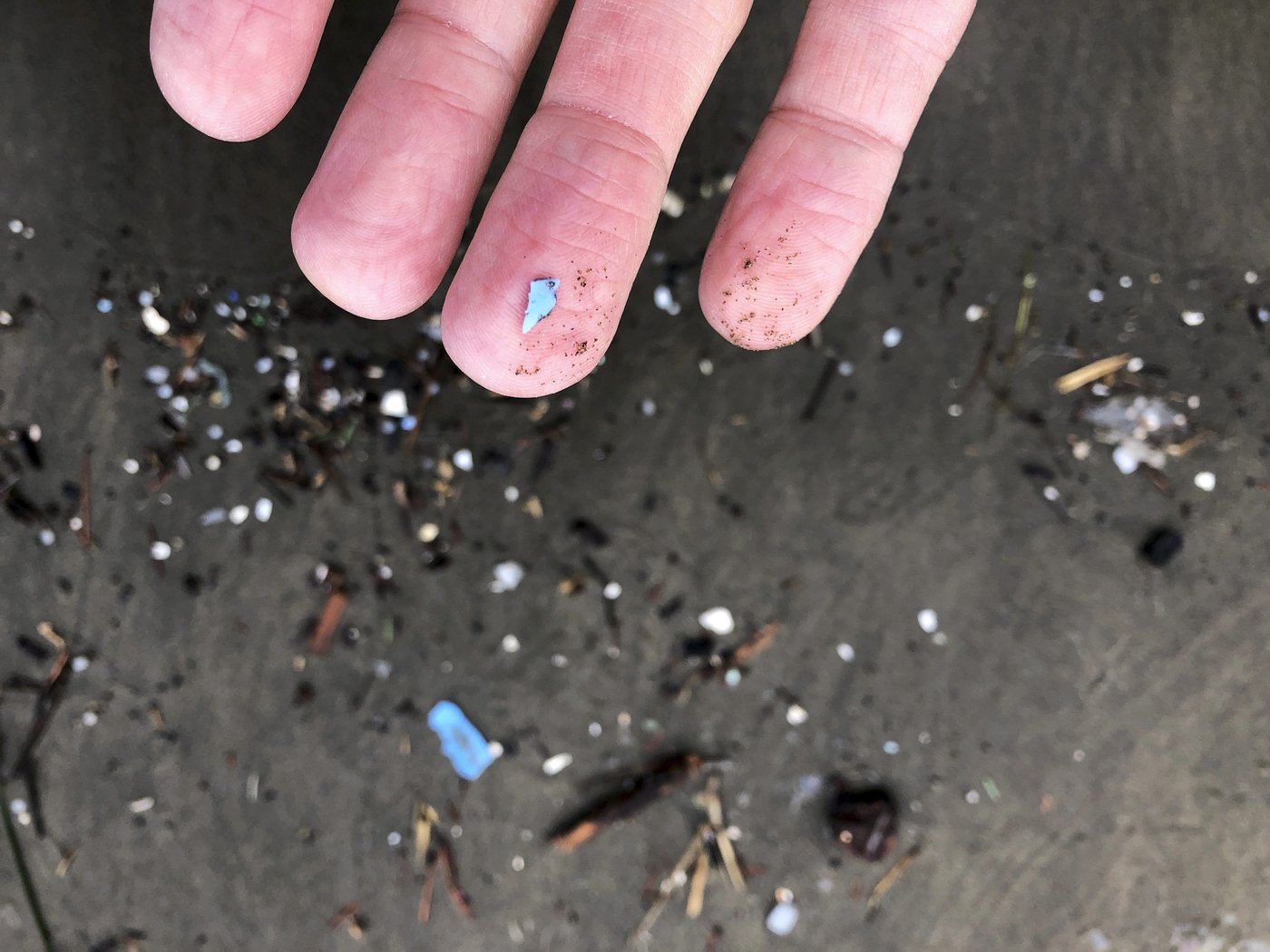 Un appareil développé par des chercheurs de l’UBC peut détecter les microplastiques