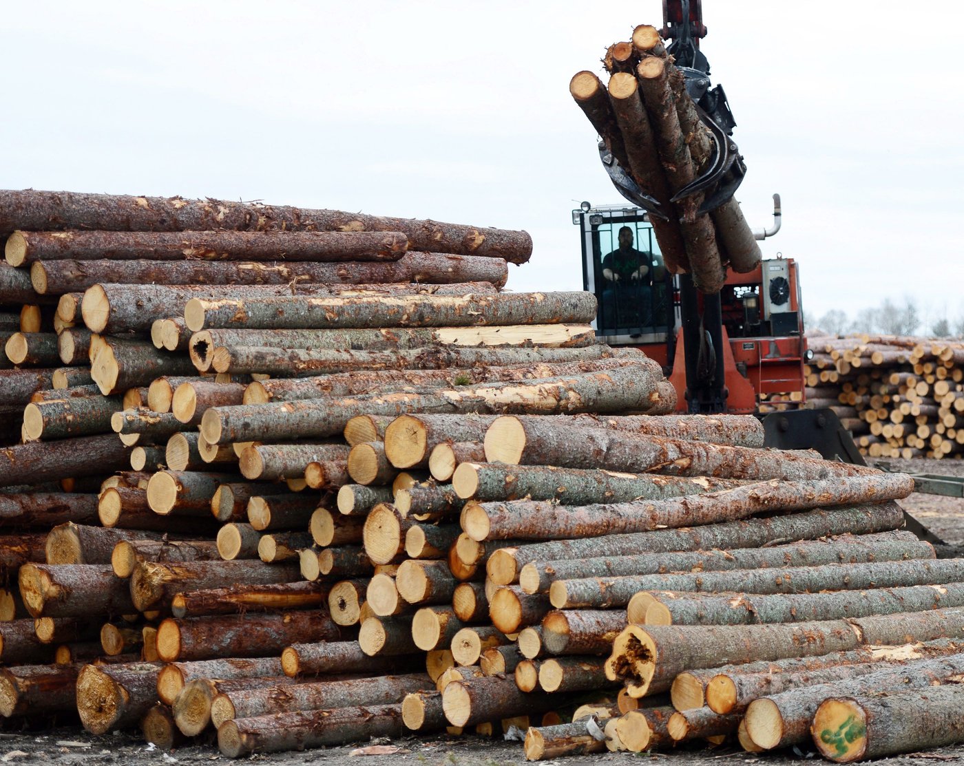 Ottawa dénonce l'augmentation des droits américains sur le bois d'oeuvre résineux