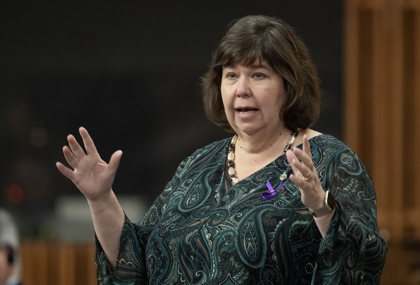 Une députée libérale regrette la «détresse» qu'elle a pu causer chez deux témoins