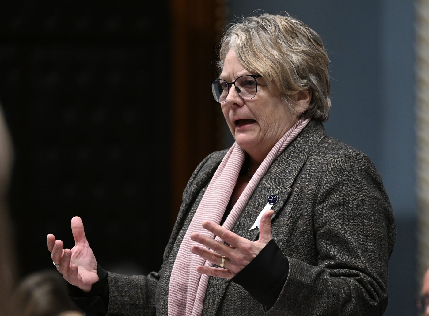 Chantal Rouleau dépose le projet de loi 71 visant à améliorer l'assistance sociale