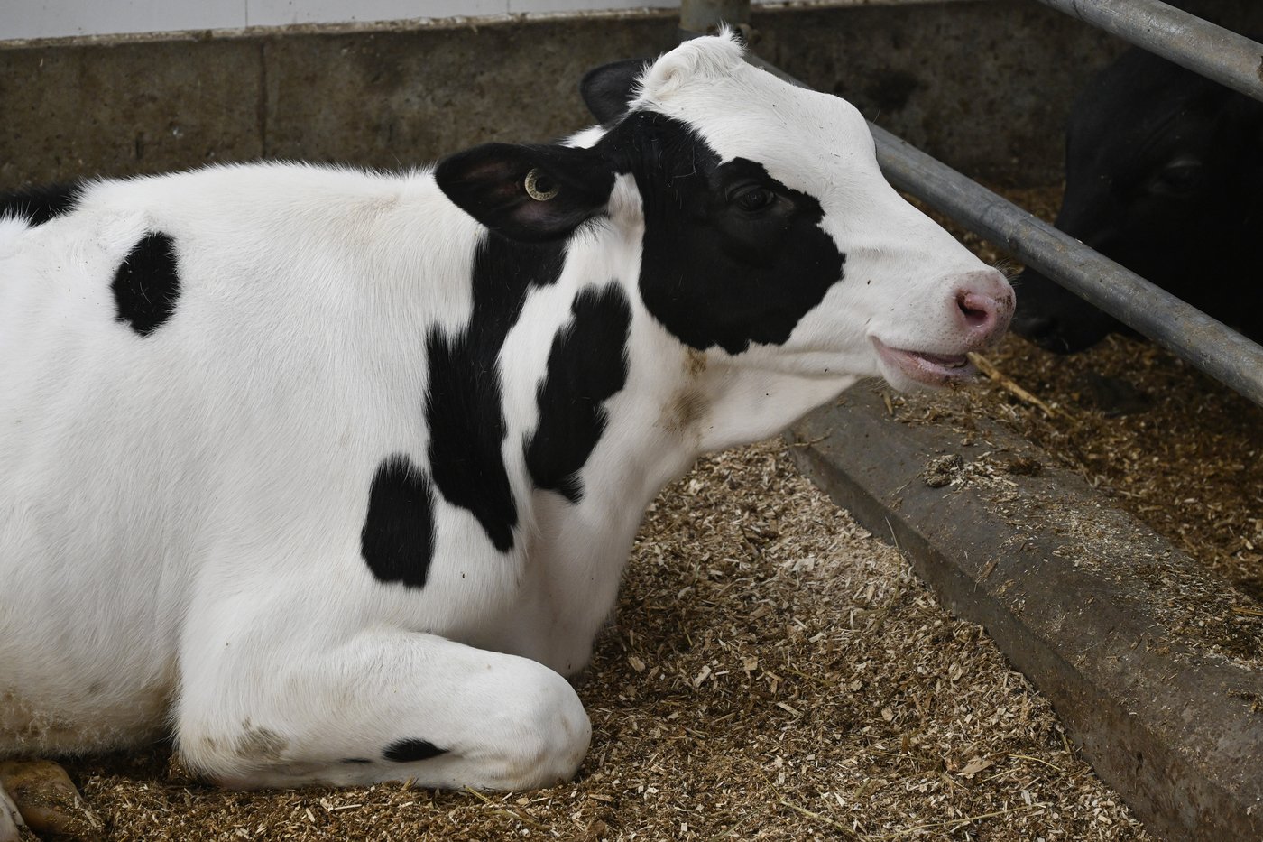 L'Union des producteurs agricoles célèbre 100 ans de solidarité rurale