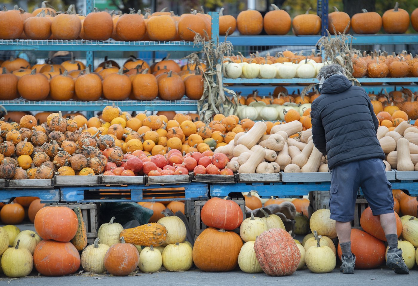 L'automne devrait être chaud et sec, mais gare aux vestiges de tempêtes!