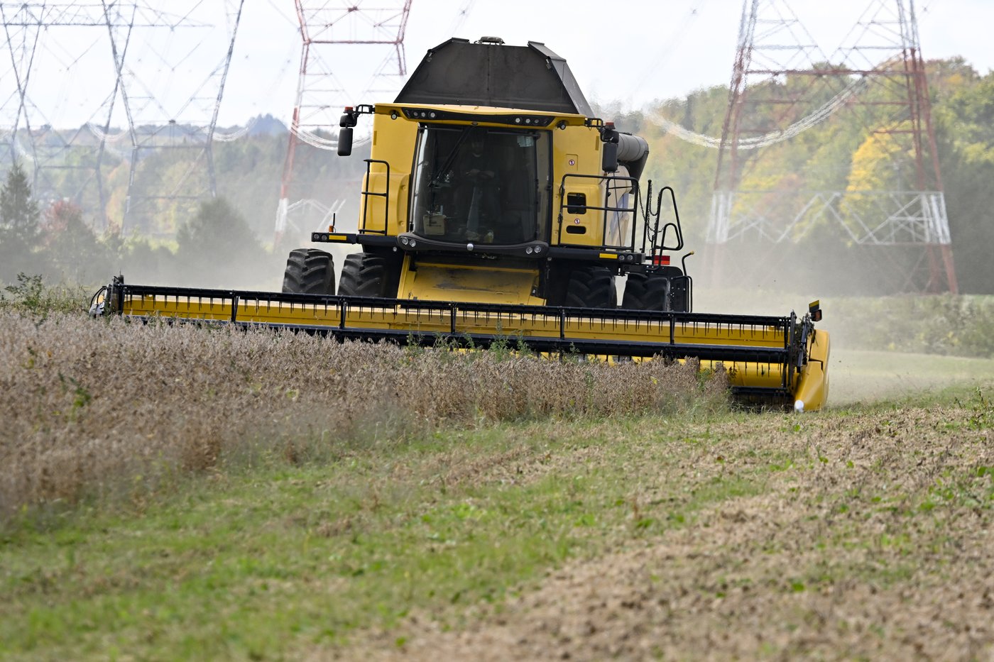 D'immenses superficies de terres agricoles sont abandonnées au profit des forêts