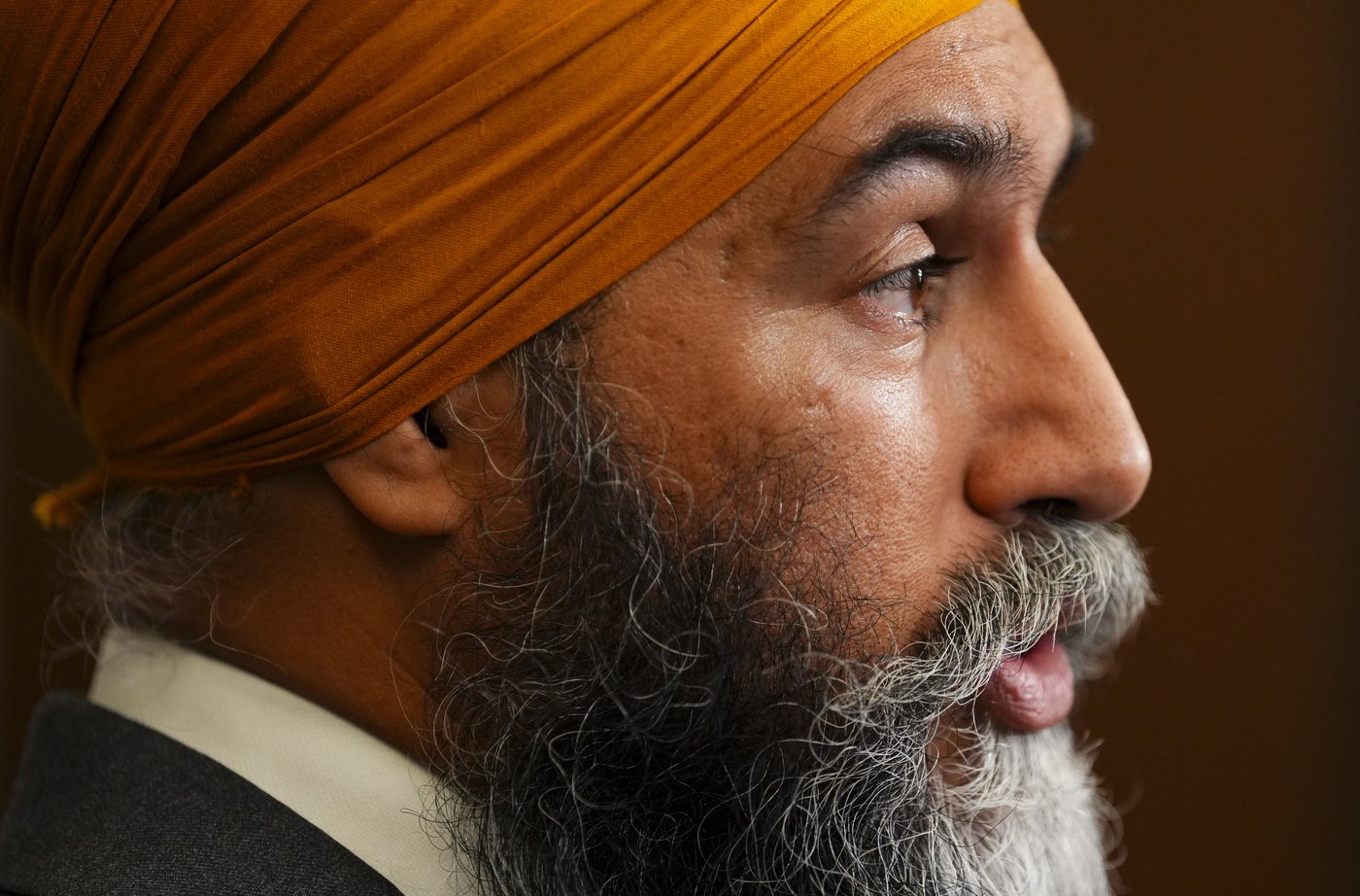 Singh bloquera les conservateurs et le Bloc tentant de faire tomber le gouvernement