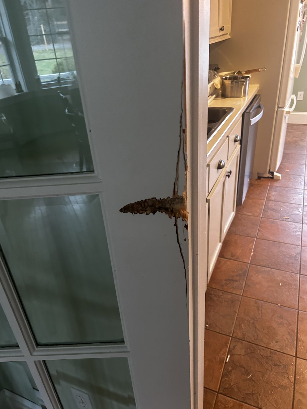 Un coup de feu tiré dans la maison d'un acheteur de homards en Nouvelle-Écosse