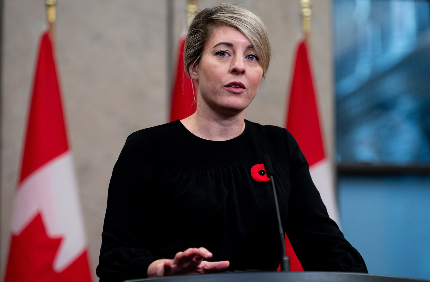 Joly et Blair condamnent la violence survenue lors d'une manifestation contre l'OTAN