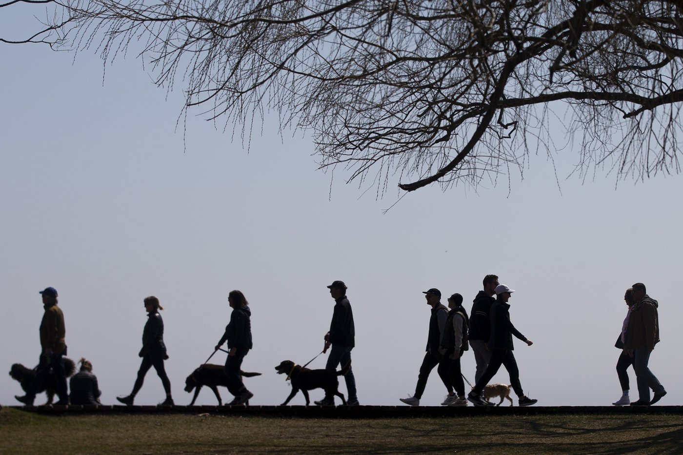 La population canadienne est estimée à 41,5 millions de personnes