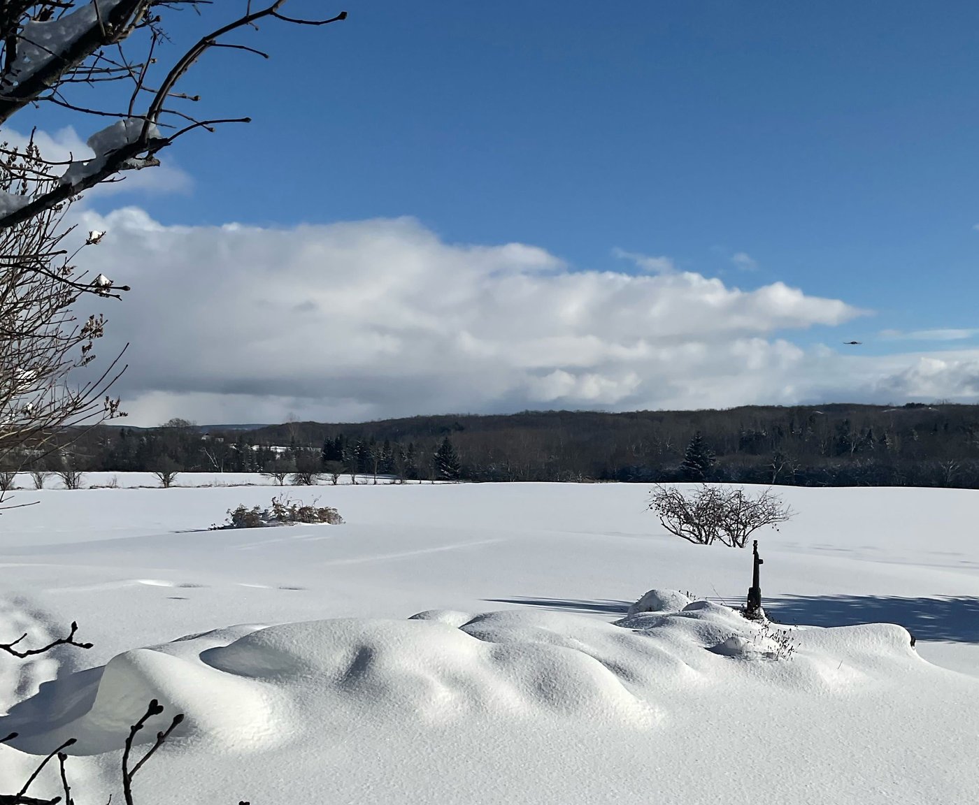 Une deuxième vague de neige devrait traverser l'Ontario dans les prochains jours