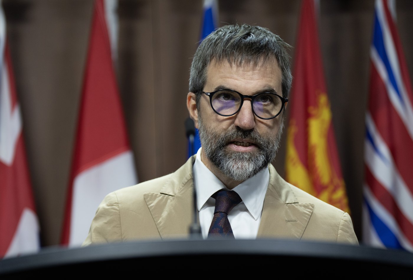 N.-B. : plus d'un milliard de dollars investis pour le réseau d'électricité propre