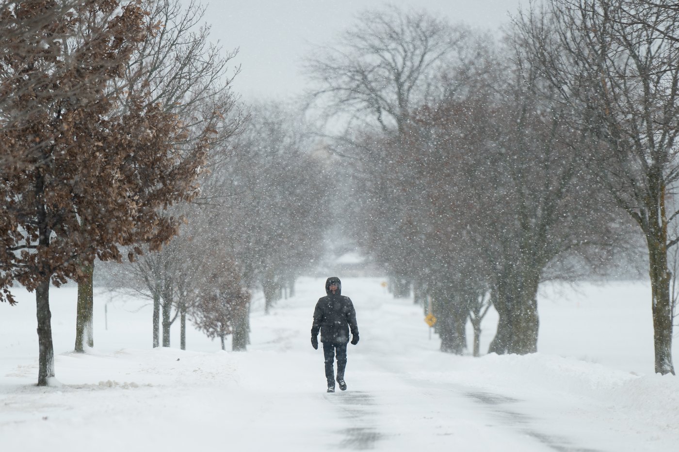 Une intense tempête de neige provoque des coupures d'électricité en Ontario