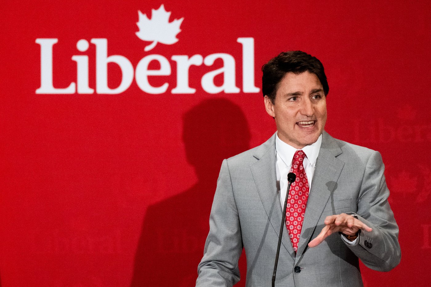 Les libéraux fédéraux vont sévir contre les «profils frauduleux»