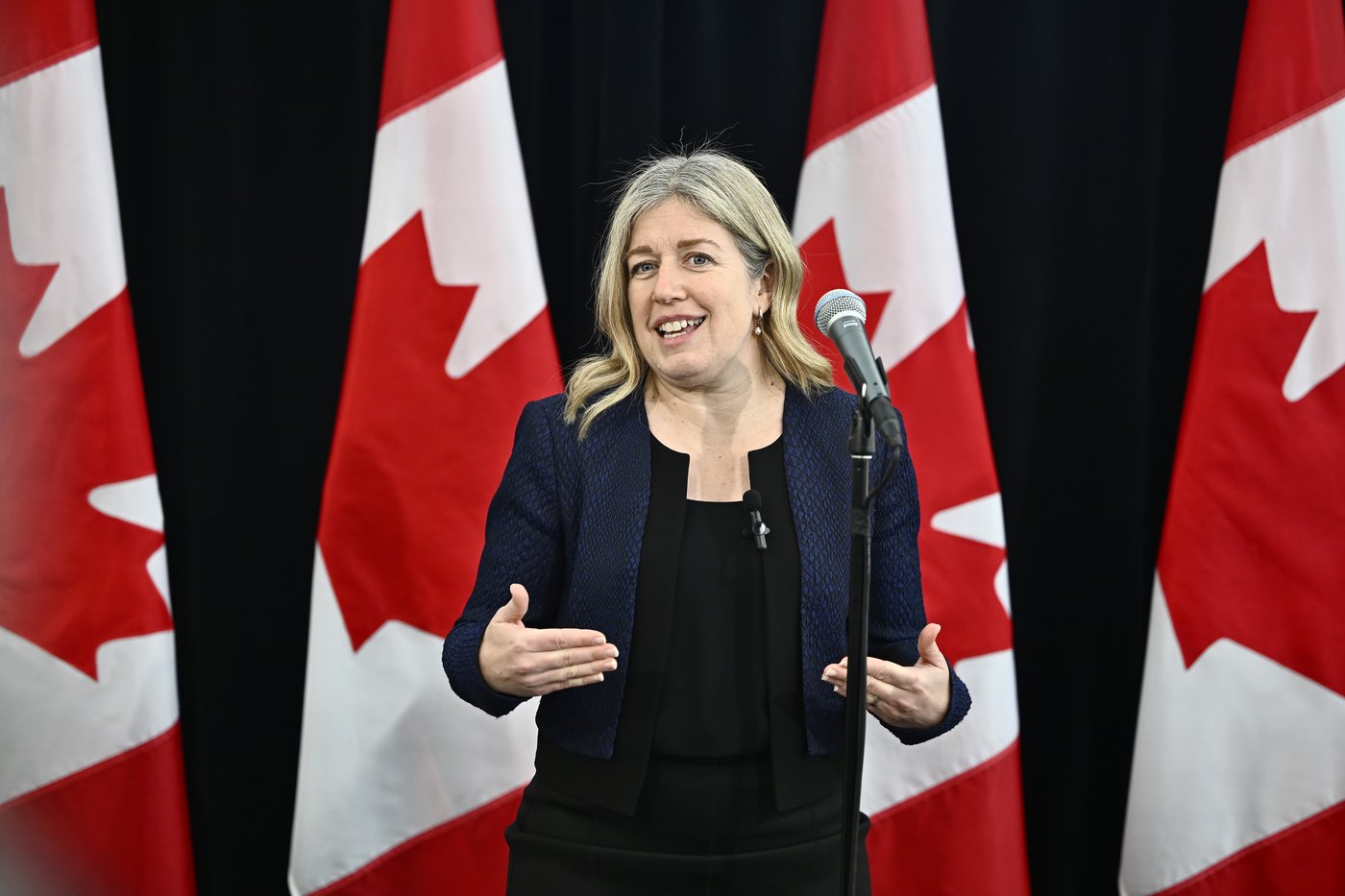 La contestation sur la politique conservatrice d'identité de genre au NB est retirée