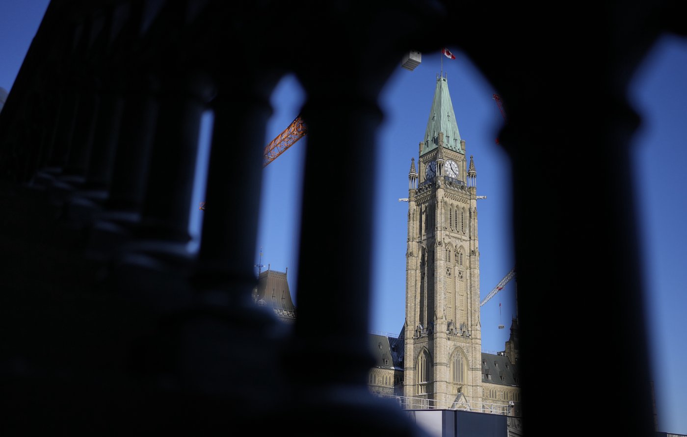 Trump et la course libérale: il vente fort sur les intentions de vote au fédéral