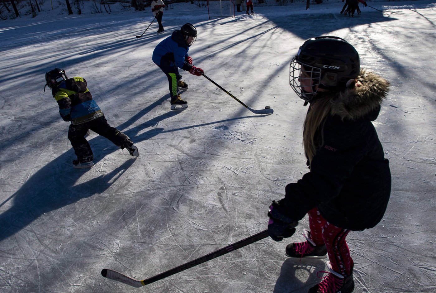 «Guette ta glace»: adapter la patinoire au changement climatique