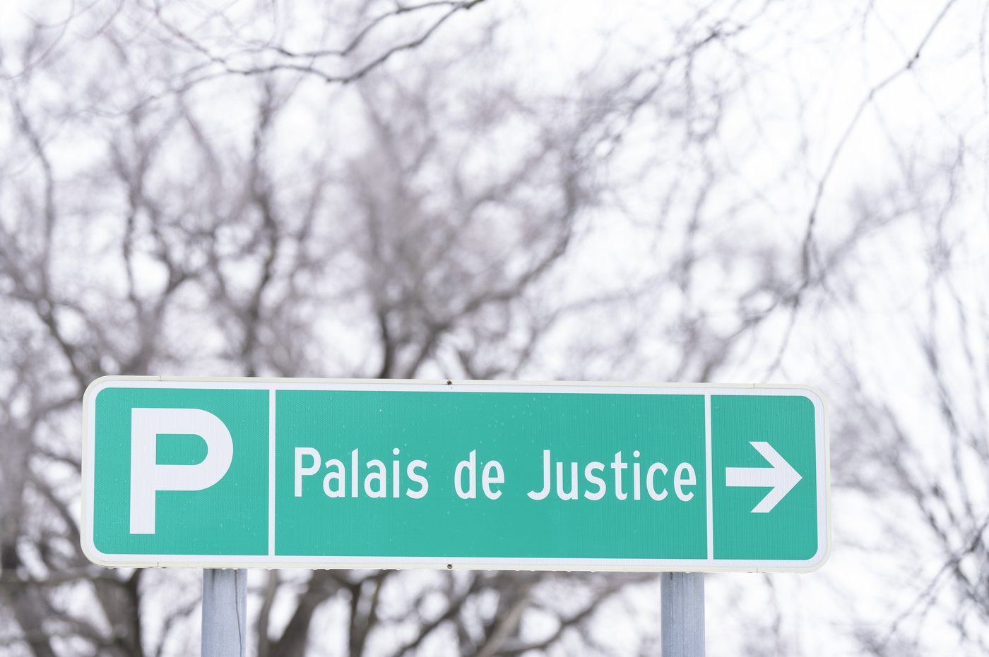 Les victimes des prêtres du diocèse Saint-Jérôme - Mont-Laurier demandent réparation